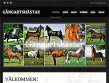 Tablet Screenshot of gangartshastar.com